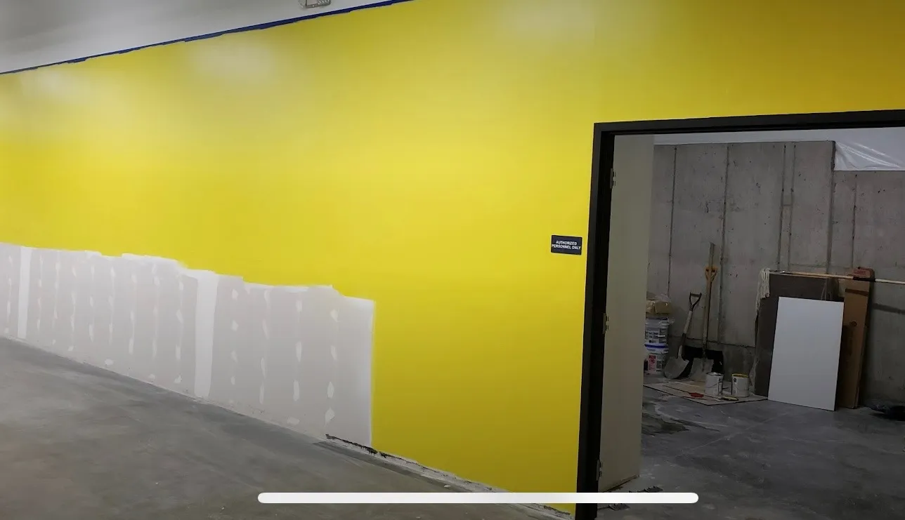Paint Removal & Wallpaper Services